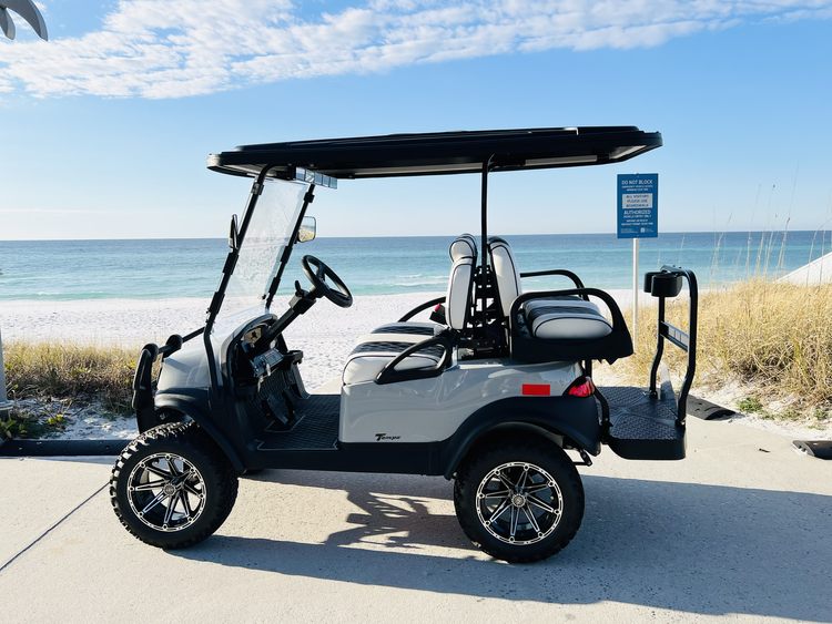 4 Passenger Gas Golf Cart Rental (2 Day Rental)