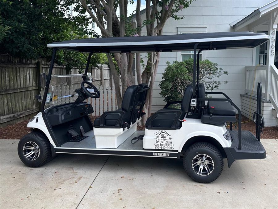 6 Passenger Electric Golf Cart Rental (2 Day Rental)