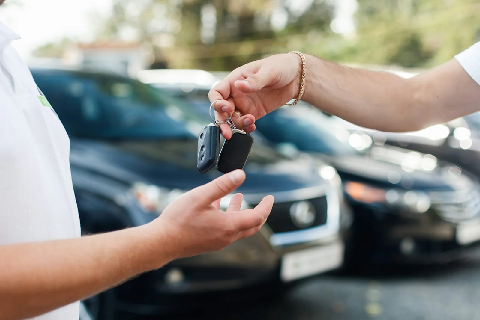 Avis Car Rentals