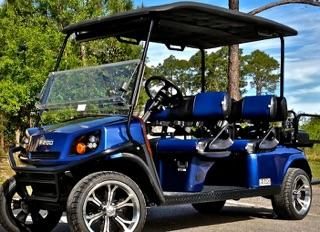 Four Seater Gas Golf Cart Rental (One Day Rental)